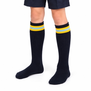 Dair House - DAIR HOUSE KNEE SOCKS, DAIR HOUSE, UNIFORM, UNIFORM