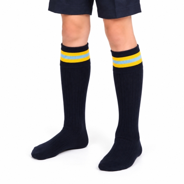 Dair House - DAIR HOUSE KNEE SOCKS, DAIR HOUSE, UNIFORM, UNIFORM