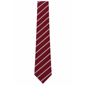 Thorpe House - THORPE HOUSE JUN& HOLTSPUR TIE, BOYS, GIRLS, THORPE HOUSE, UNIFORM